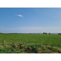 HAUT-FAYS (Daverdisse): Bouwgrond, 10a01ca – VAS1323B