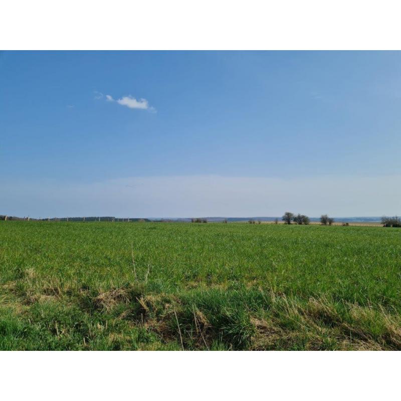 HAUT-FAYS (Daverdisse): Bouwgrond, 10a01ca – VAS1323B