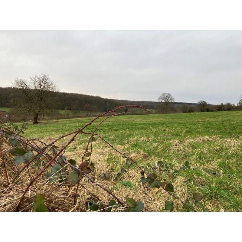 FORGE-PHILIPPE (Momignies): bouwgrond, 10a70ca – VAS1362B