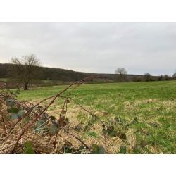 FORGE-PHILIPPE: bouwgrond, 10a30ca – VAS1362A