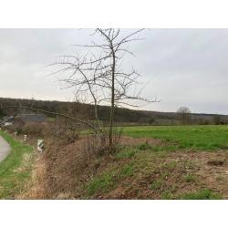 FORGE-PHILIPPE: bouwgrond, 10a30ca – VAS1362A