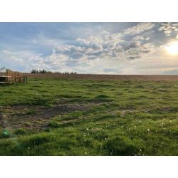 HOMPRÉ (Vaux-sur-Sûre): bouwgrond, 26a01ca – VAS1394