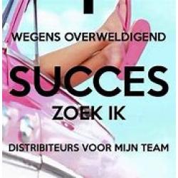 Werken van thuis met een mooie verdienste