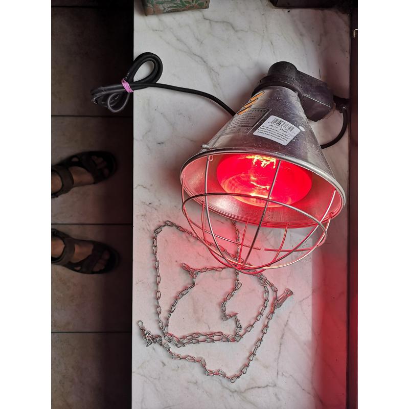 Warmtelamp 150W om te hangen