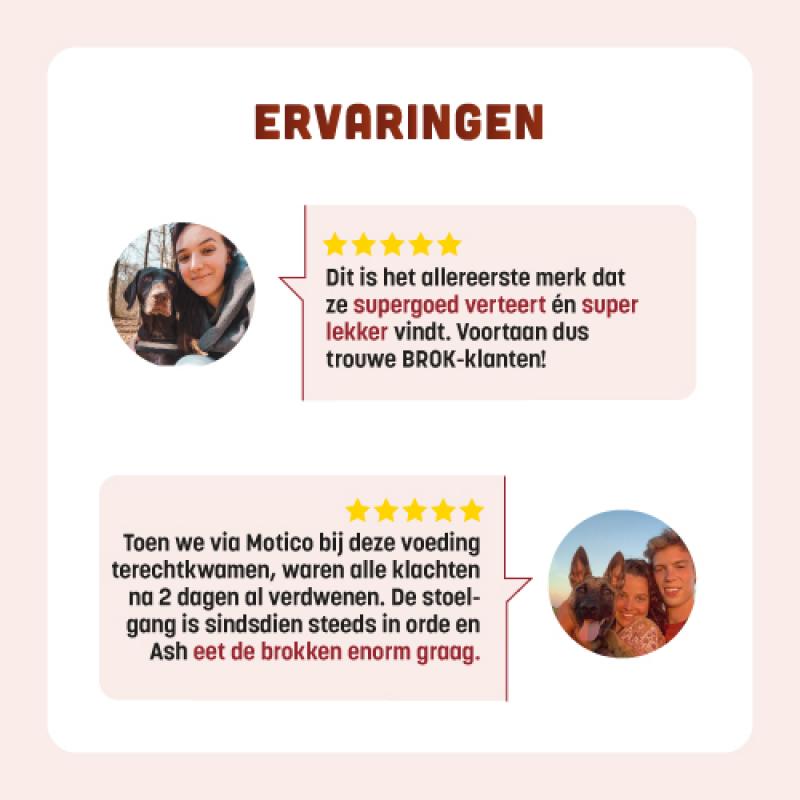 Graanvrije hondenvoeding van BROK - Black Angus & Wortelen - 12kg