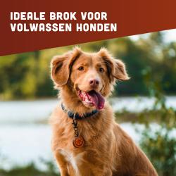 Graanvrije hondenvoeding van BROK - Black Angus & Wortelen - 12kg