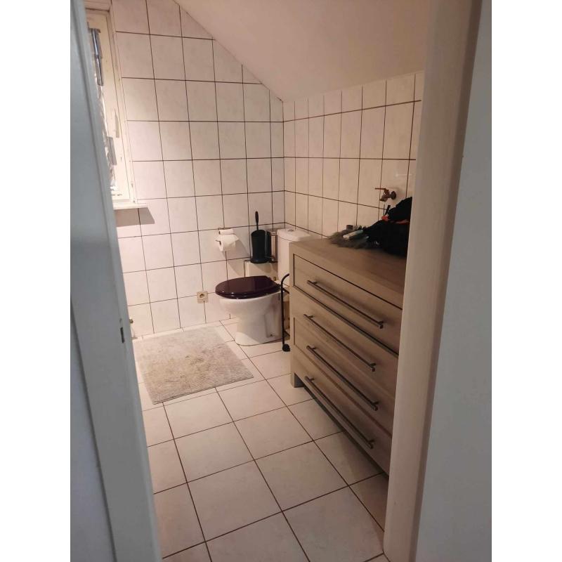 Ruime woning te huur