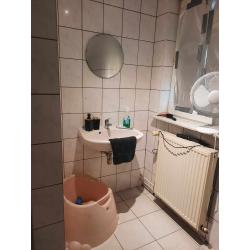 Ruime woning te huur