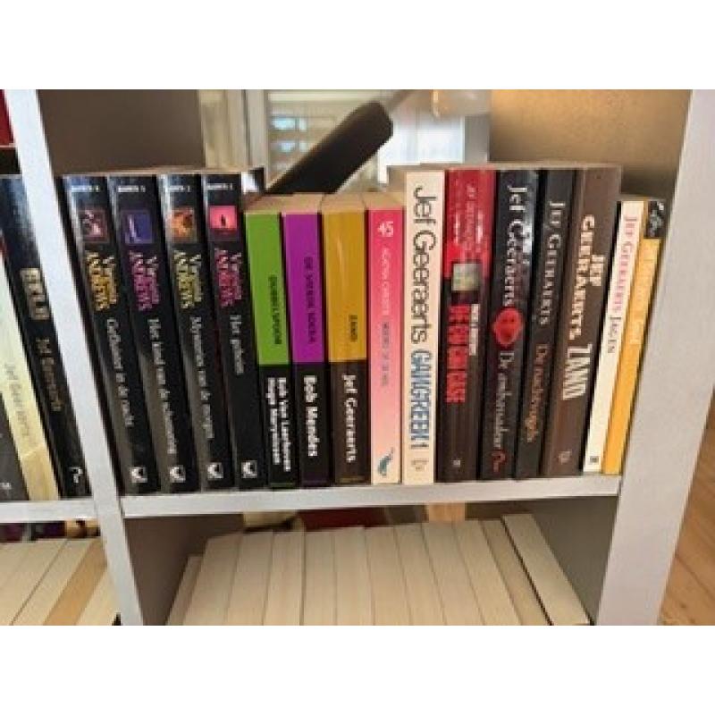 opruiming boeken kast
