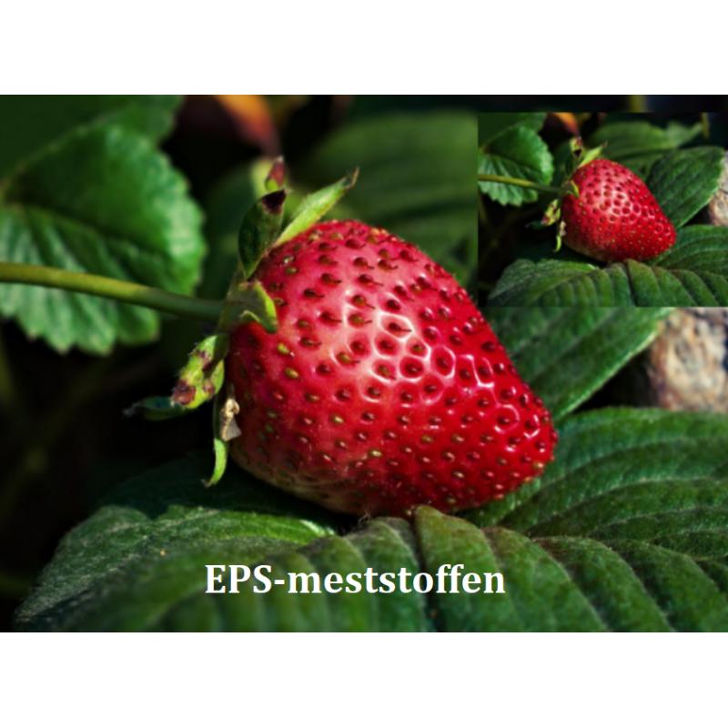 EPS LED boost 500 ml Plantenvoeding voor de kweek onder LED licht.