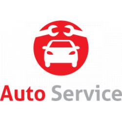 Auto diagnose
