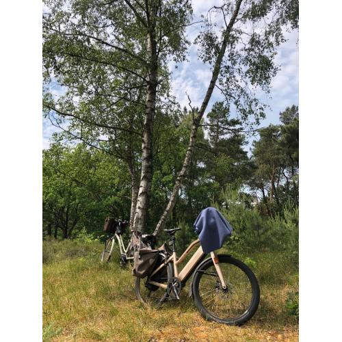 Speedepedelec Stromer ST1