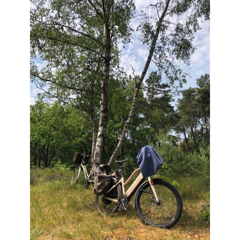 Speedepedelec Stromer ST1