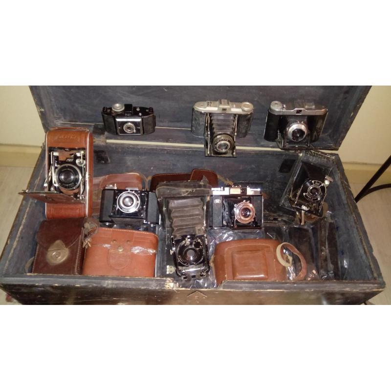 collectie oude fototoestellen in goede staat bewaard