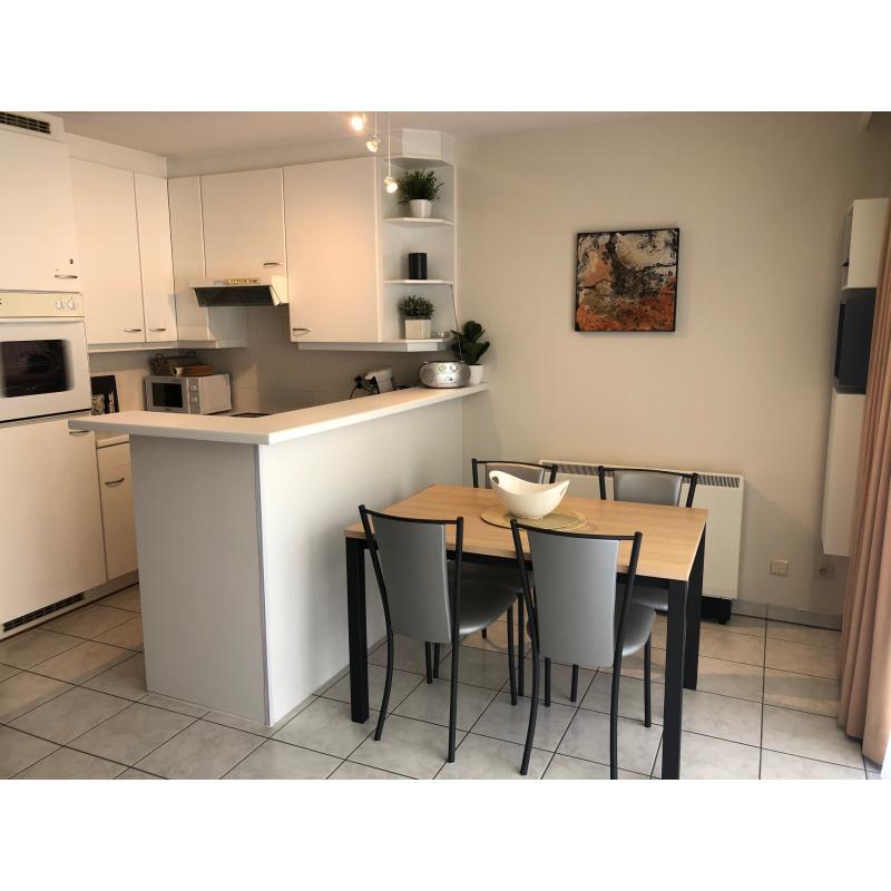 Nieuwpoort vakantie nieuw ingericht appartement met garage, dijk op 90m