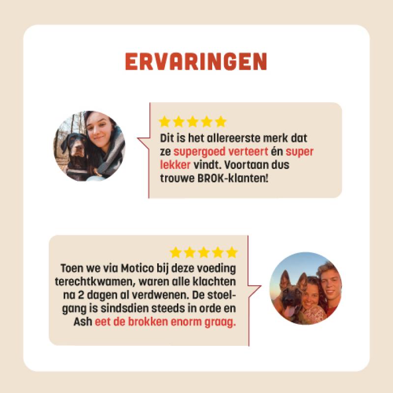 Graanvrije hondenvoer van BROK - Eend & Sinaasappel - 12kg