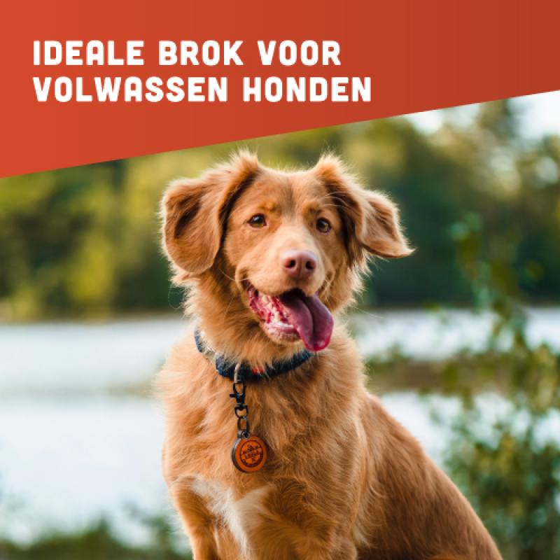 Graanvrije hondenvoer van BROK - Eend & Sinaasappel - 12kg