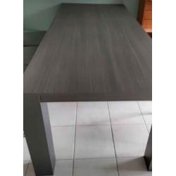 eettafel en salontafel  zelfde uitvoering