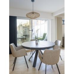 uitschuifbare tafel met 4 lederen armstoelen