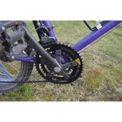 Peugeot Mountainbike