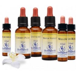 Hijama &amp; Massage praktijk