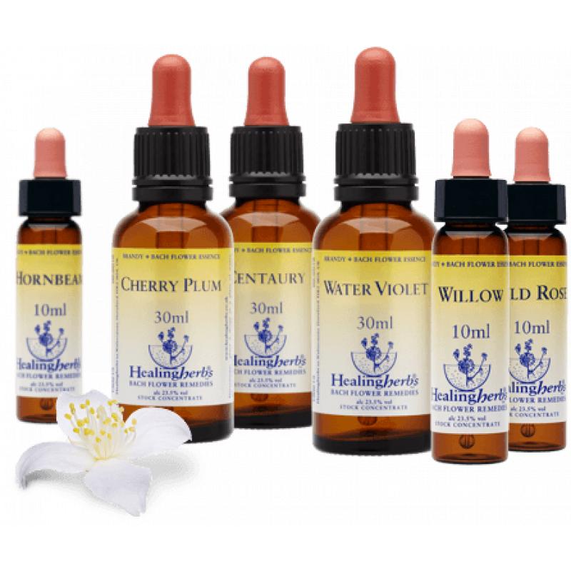 Hijama &amp; Massage praktijk