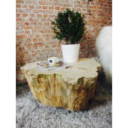 Boomstam salontafel op maat