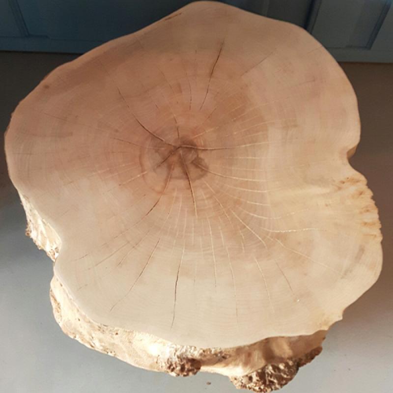 Boomstamtafel van Esdoorn