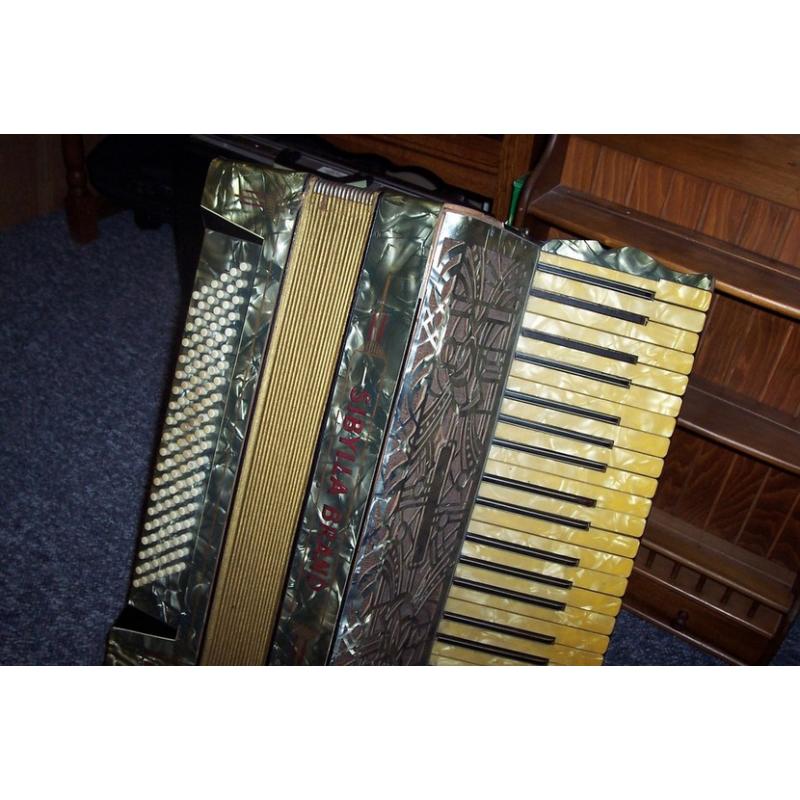 Accordeoniste   Hallo, heeft een feestje, of wilt u een gezellige middag organiseren? Ik kom graag een uurtje bij u