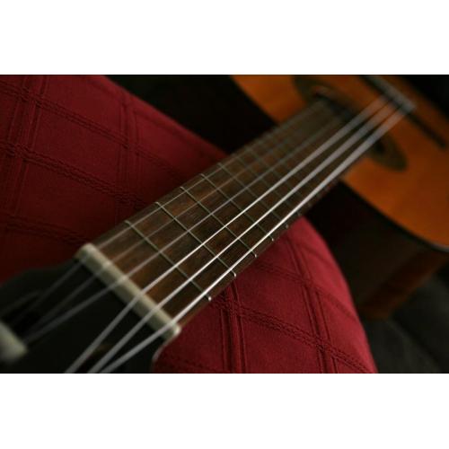 G9500 Jim Dandy Akoustische Gitaar   Algemeen Model Name: G9500 Jim Dandy? Flat Top Series: Roots Collection Color / Part # : 270-4000-