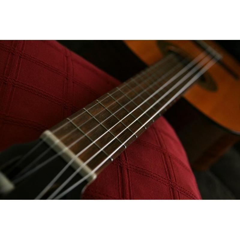 G9500 Jim Dandy Akoustische Gitaar   Algemeen Model Name: G9500 Jim Dandy? Flat Top Series: Roots Collection Color / Part # : 270-4000-