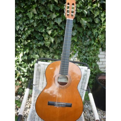 Richwood RD-10   Richwood RD-10 akoestische gitaar. Er is bijna niet op gespeeld dus ziet er volledig nieuw uit. Gee