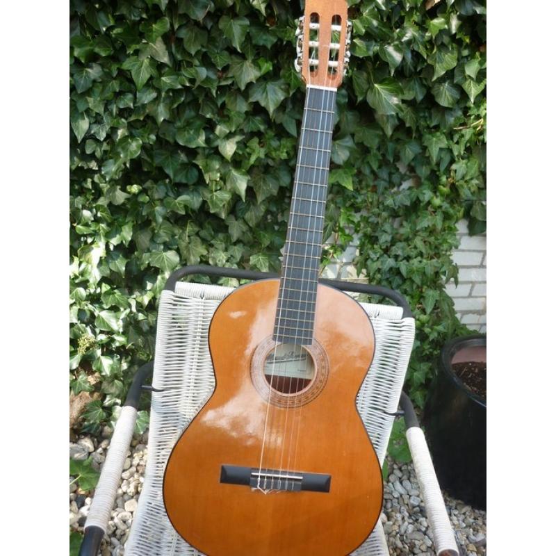 Richwood RD-10   Richwood RD-10 akoestische gitaar. Er is bijna niet op gespeeld dus ziet er volledig nieuw uit. Gee