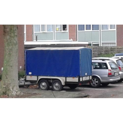 Aanhanger enkelasser blad veren   Mooie enkelasser met blad veren 
