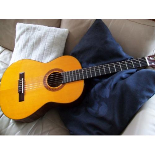Gitaristin10lessen  Muziekinstrumenten en Apparatuur > Snaarinstrumenten > Akoestische Gitaren Kenmerken: Conditie: Ni