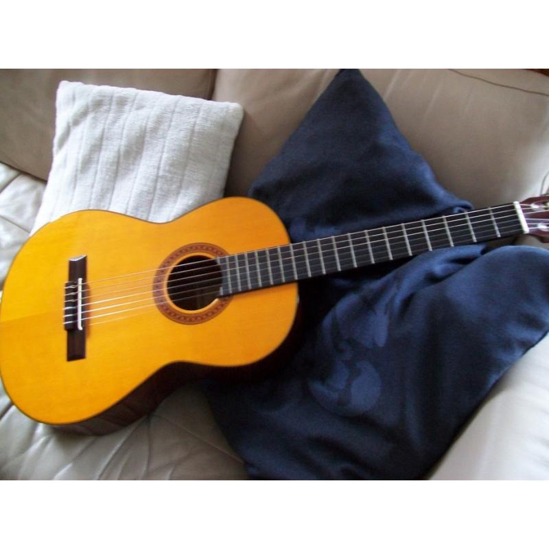 Gitaristin10lessen  Muziekinstrumenten en Apparatuur > Snaarinstrumenten > Akoestische Gitaren Kenmerken: Conditie: Ni