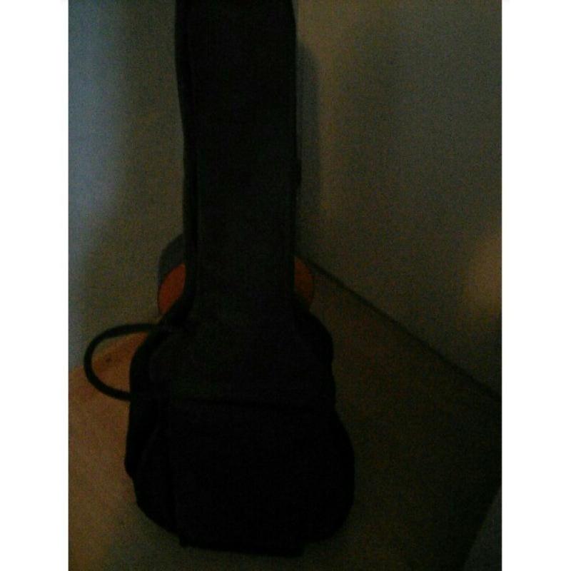 12 snarige gitaar Aria   Te koop aangeboden een 12 snarige gitaar van het merk Aria. Prima gitaar, maar wel met een aantal s