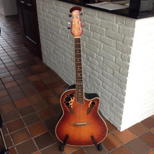 Dobro- gitaar.   Zeer mooie dobro gitaar merk Johnson , speciale kam om hem als dobro te gebruiken, zeer geschikt vo