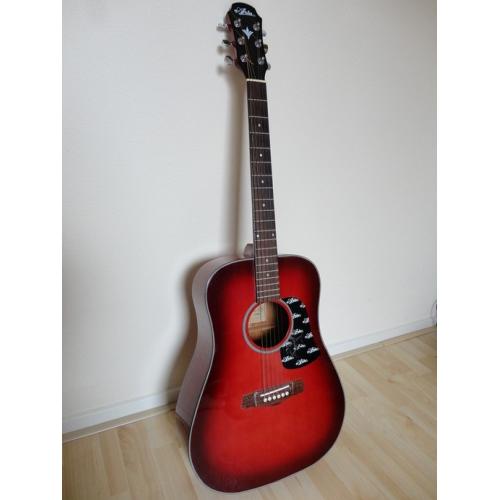 USA Ovation Patriot met originele koffer   Te koop van 1e eigenaar!! Unieke gitaar USA Ovation Patriot. Gitaar is ruim 30 jaar oud! Slechts be