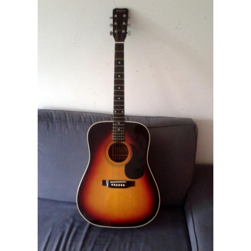 Hohner western gitaar   Western gitaar - merk Hohner Warm geluid - 1 stemknop ontbreekt 