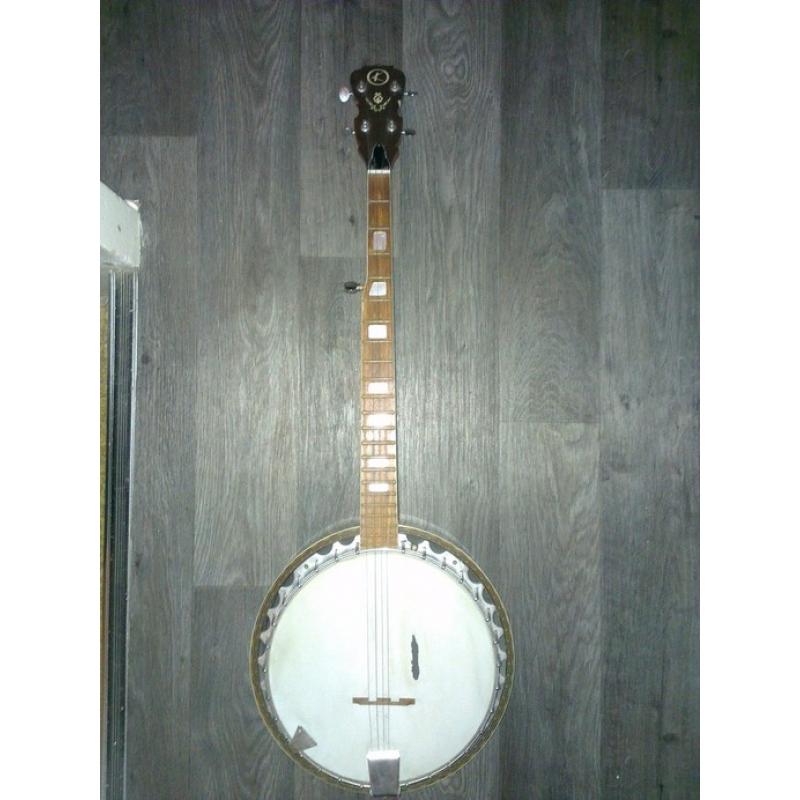 Te koop acoustische gitaar wit   Merk: Stagg Kleur: wit 