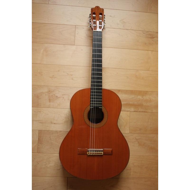 Acoustische gitaar - NIEUW/nooit gebruikt   Gekocht maar toch niet aan toe gekomen, vandaar dat ik hem weer verkoop. Optimaal beginner inst
