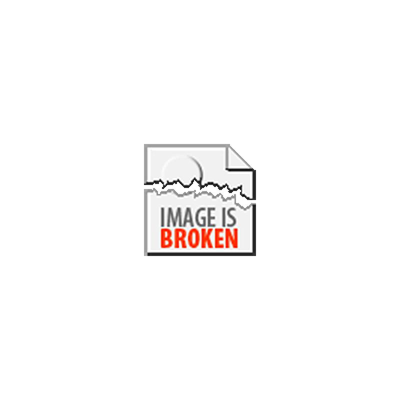 cantulia sonalina   cantulia sonalia 