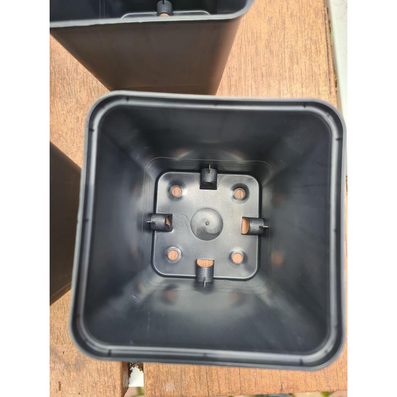 Kweekpotjes te koop 9 cm in topkwaliteit!!