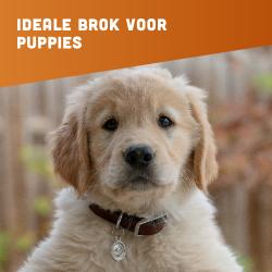 Graanvrije puppybrok van BROK - Kip, Kalkoen & Zalm