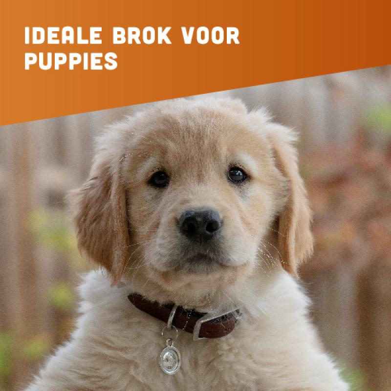 Graanvrije puppybrok van BROK - Kip, Kalkoen & Zalm