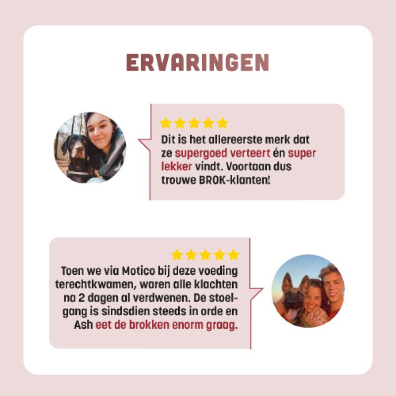 Graanvrije hondenbrokken van BROK - Kalkoen & Veenbessen