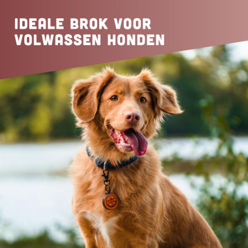 Graanvrije hondenbrokken van BROK - Kalkoen & Veenbessen
