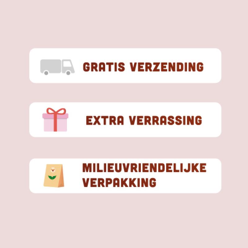 Graanvrije hondenbrokken van BROK - Kalkoen & Veenbessen