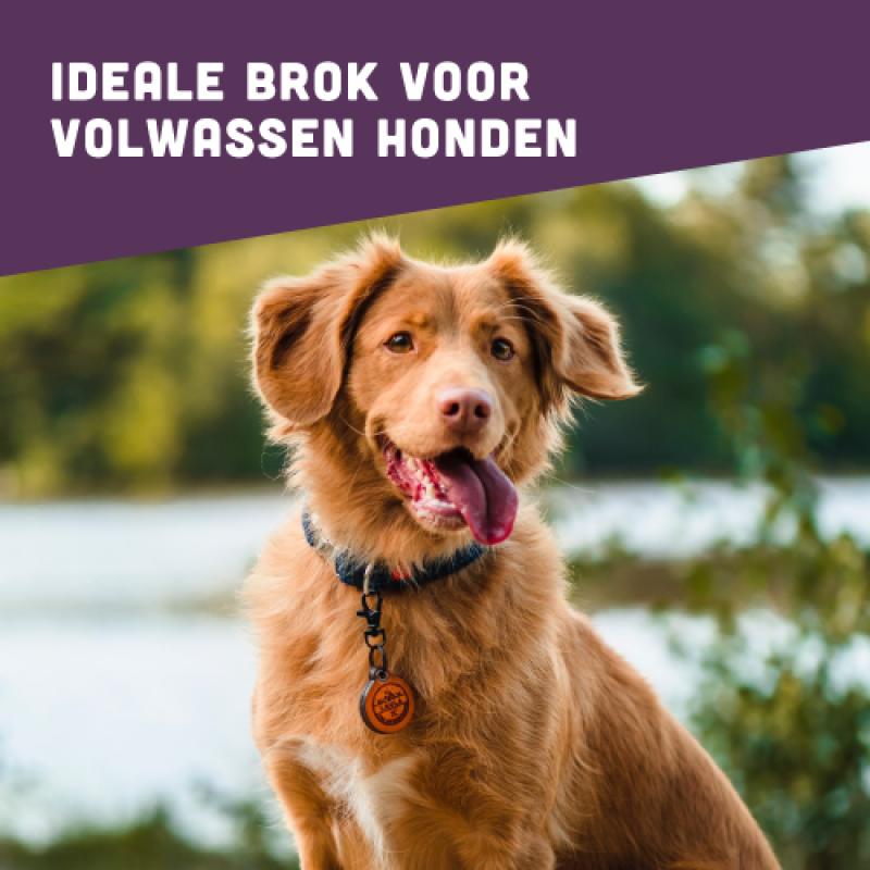 BROK hondenvoeding - Kip & kruiden - 12kg